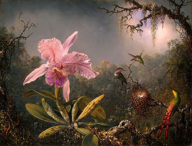 Martin Johnson Heade Cattleya Orchid and Three Brazilian Hummingbirds Sweden oil painting art